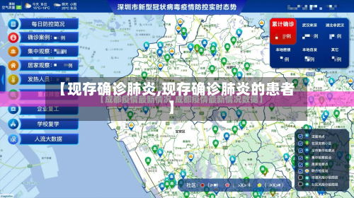 【现存确诊肺炎,现存确诊肺炎的患者】