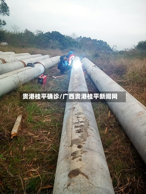 贵港桂平确诊/广西贵港桂平新闻网