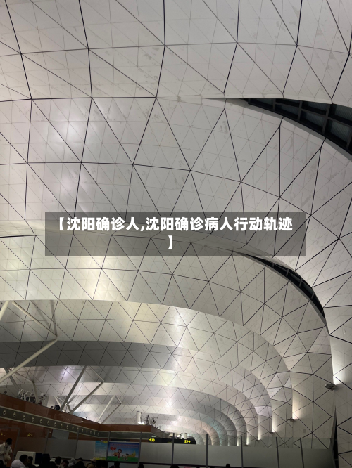 【沈阳确诊人,沈阳确诊病人行动轨迹】-第2张图片