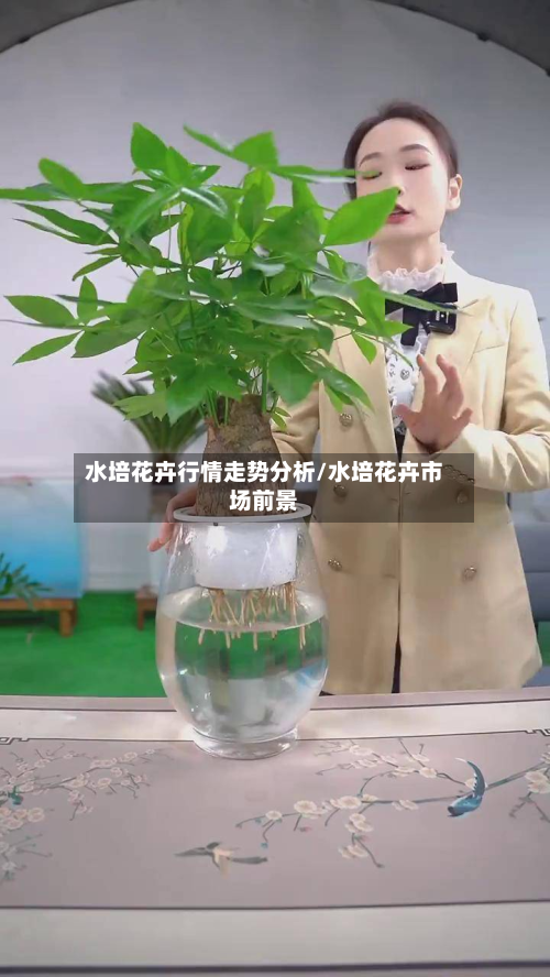 水培花卉行情走势分析/水培花卉市场前景-第2张图片