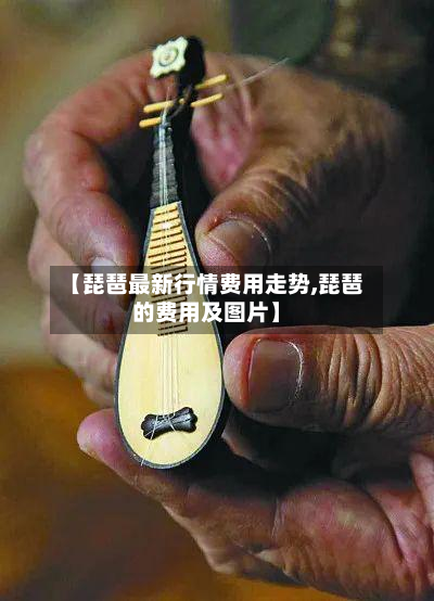 【琵琶最新行情费用走势,琵琶的费用及图片】