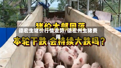 德宏生猪价行情走势/德宏州生猪费用-第2张图片