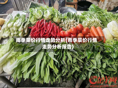 雨季菜价行情走势分析(雨季菜价行情走势分析报告)