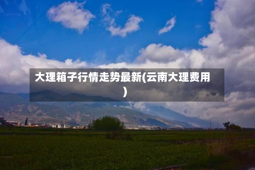 大理箱子行情走势最新(云南大理费用)-第2张图片