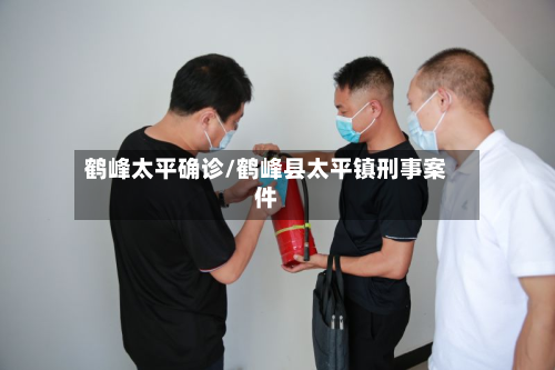 鹤峰太平确诊/鹤峰县太平镇刑事案件
