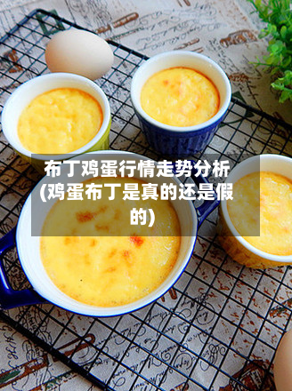 布丁鸡蛋行情走势分析(鸡蛋布丁是真的还是假的)