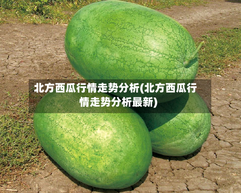 北方西瓜行情走势分析(北方西瓜行情走势分析最新)