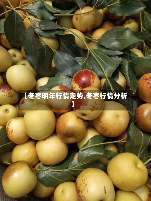 【冬枣明年行情走势,冬枣行情分析】
