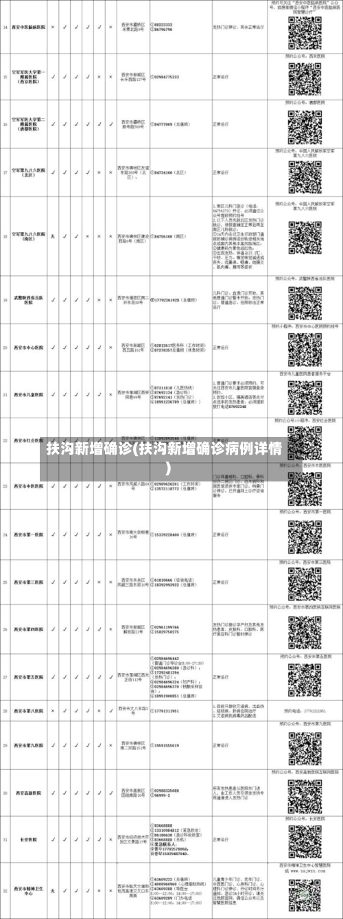 扶沟新增确诊(扶沟新增确诊病例详情)-第2张图片