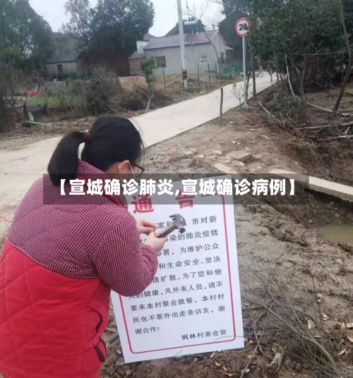 【宣城确诊肺炎,宣城确诊病例】-第2张图片