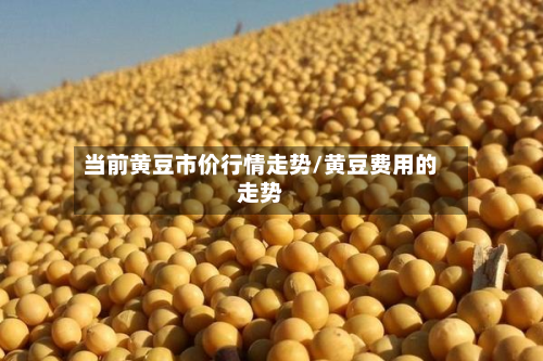 当前黄豆市价行情走势/黄豆费用的走势
